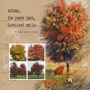 Autumn Smile