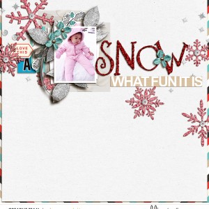 SNOW WHAT FUN IT IS