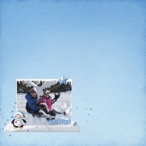 Winter-wonder
