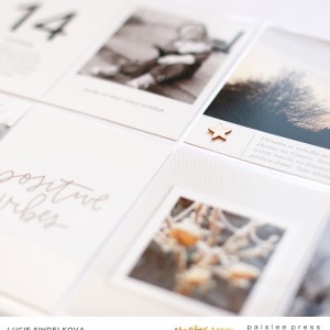 Paislee-4x6 Photo Templates Vol. 6-layoutbyLucieSindelkova_4