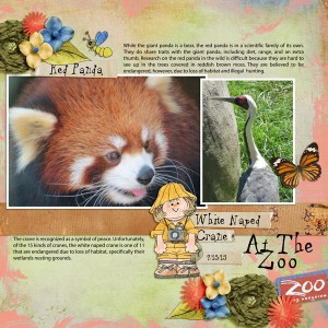 12.At-the-Zoo