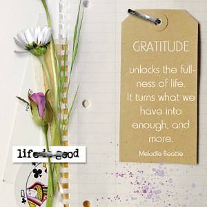 MOC5, Day 5: Gratitude