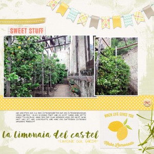 The lemon garden