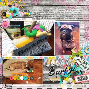 Lucy Vs Barkbox