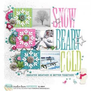 Snow Beary Cold