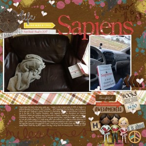 moc 12 - filled template - Sapiens