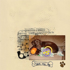 Love-my-dogWeb