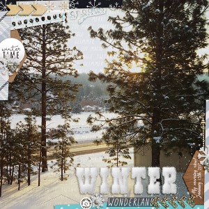 Jan11-winter wonderland