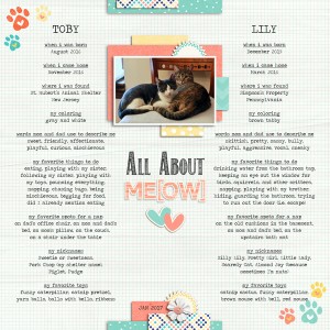 MOC5-08-All-About-Meow