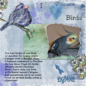 I Love Birds!
