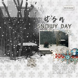 It's a Snowy Day