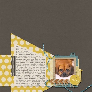 The Story of a Puggle