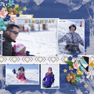 Snowday Small