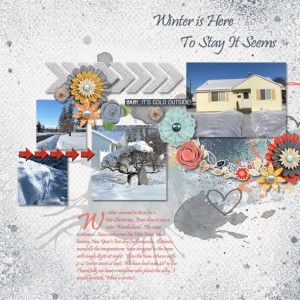 Snowy Winter