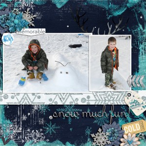 SnowMuchFun