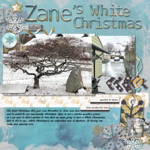 Zane's White Christmas