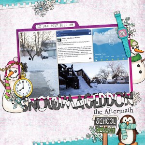 11-PhotoChallenge_Snowmageddon