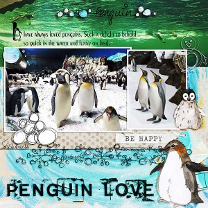 Penguin-love