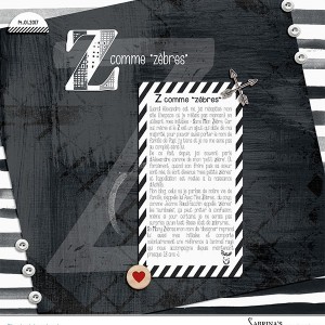 MOC5-Day#01--20170114-Z Comme Zèbres CT