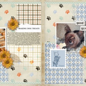 14.-Making-Dog-Treats