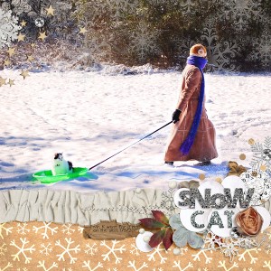 Snow Cat