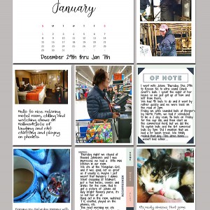 Pl-jan-title-page-2017