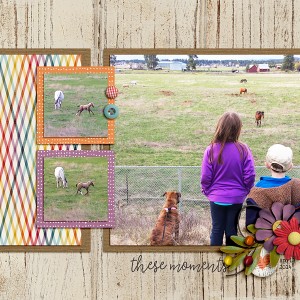 Baby Horsey Pg2