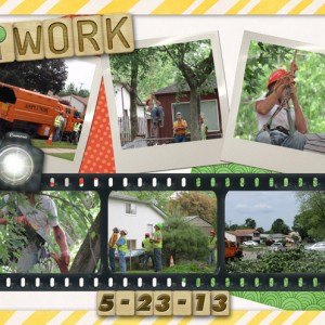 16.Tree-Work 5-23-13