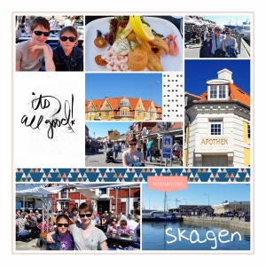Skagen 2 (Copier)