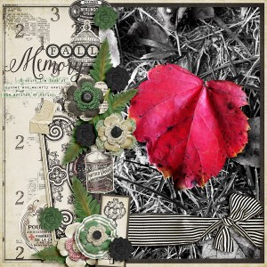 Fall Memory