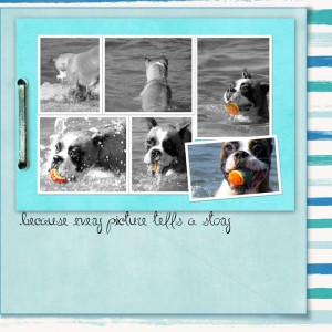 Casey-series-story-thru-photo