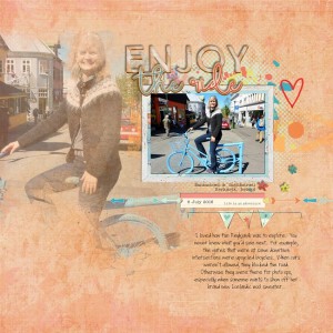 Enjoy The Ride