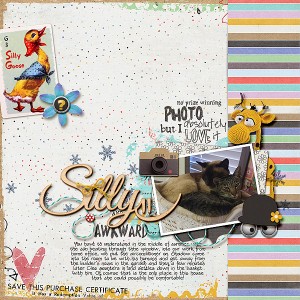 Silly-Goose
