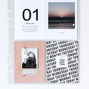 jan intro page