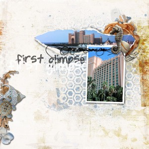 First Glimpse