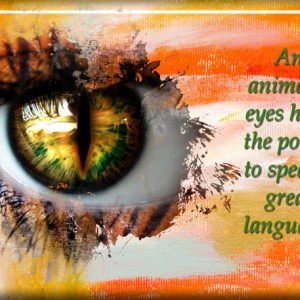 Eye-of-the-Tiger