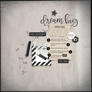 MOC 1-19 Dream Big