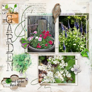 In the Garden