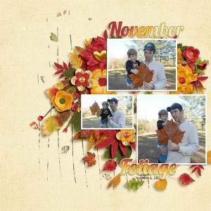 NovemberFoliage