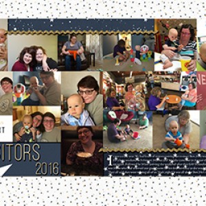 Visitors2016