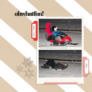 MOC 20 Sledding