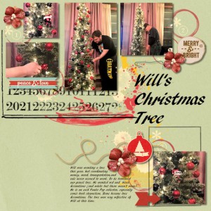 Wills Tree