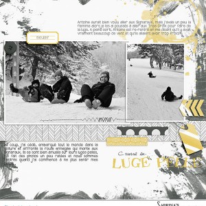 MOC5-Day#12--20170115-course En Luge Pelle CT