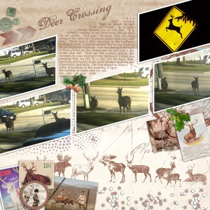 PS - TLP MOC D 22