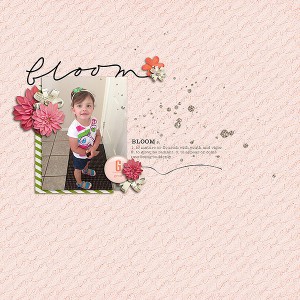 Bloom
