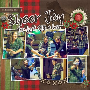 Sheer Joy for Just $10 a Box (MOC5 #16)
