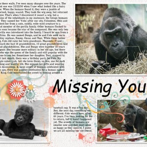 23.Missing-You