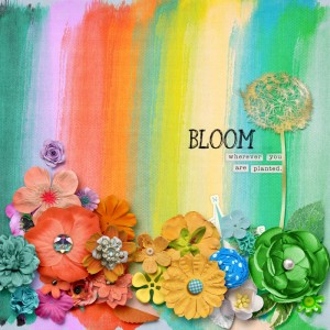 Bloom | MOC 6