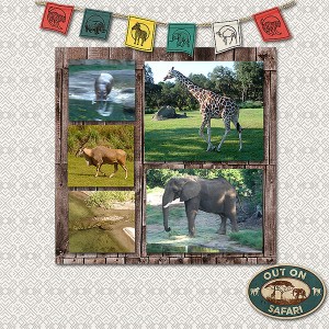 SafariWeb