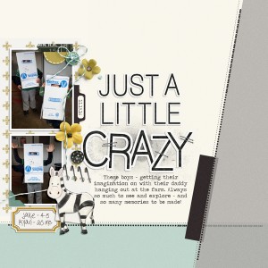 Just A Little Crazy
